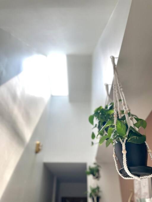 Geodis Park Apartment In Weho Nashville Esterno foto
